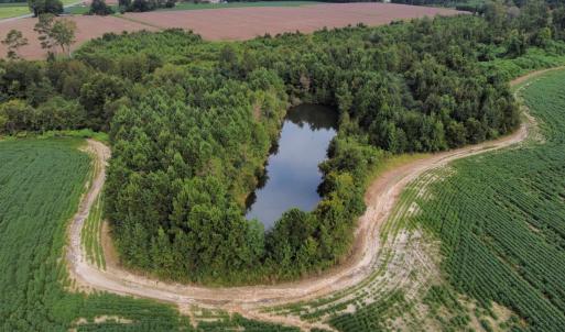 Photo #6 of Off of Highwy 9, Green Sea, SC 65.2 acres