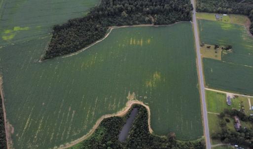 Photo #8 of Off of Highwy 9, Green Sea, SC 65.2 acres