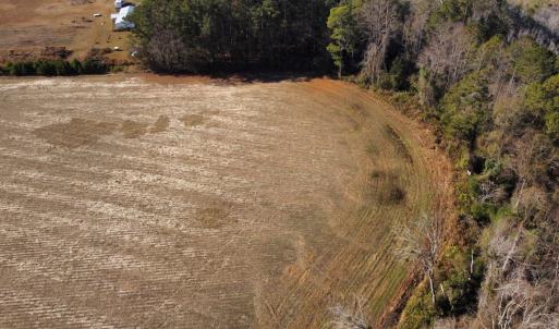 Photo #3 of Off of Black Creek Rd, Nichols, SC 72.5 acres