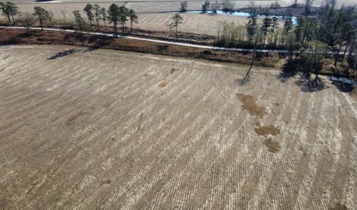 Photo #4 of Off of Black Creek Rd, Nichols, SC 72.5 acres