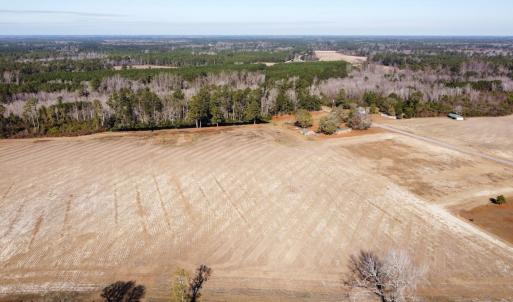 Photo #6 of Off of Black Creek Rd, Nichols, SC 72.5 acres