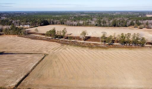 Photo #11 of Off of Black Creek Rd, Nichols, SC 72.5 acres