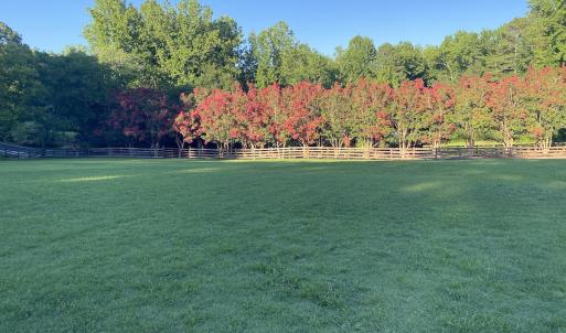 Photo #64 of 4205 MillPoint Dr., Wake Forest, NC 4.0 acres