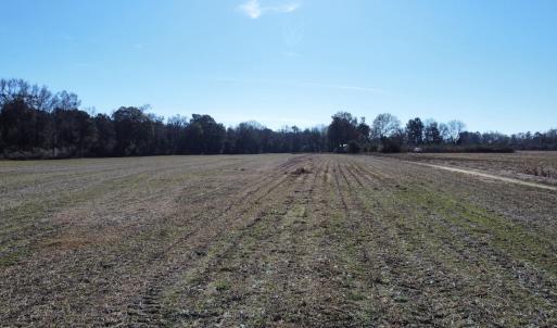 Photo #7 of Off of HWY 917, Nichols, SC 20.9 acres