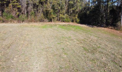 Photo #11 of Off of HWY 917, Nichols, SC 20.9 acres