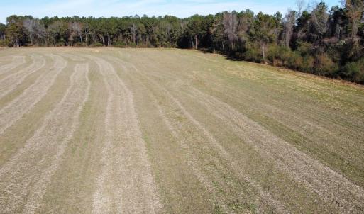 Photo #12 of Off of HWY 917, Nichols, SC 20.9 acres