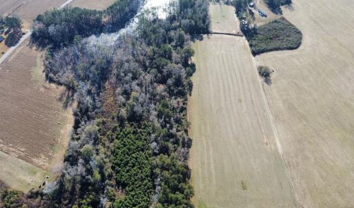 Photo #18 of Off of HWY 917, Nichols, SC 20.9 acres