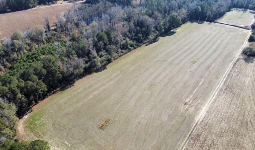 Photo #19 of Off of HWY 917, Nichols, SC 20.9 acres