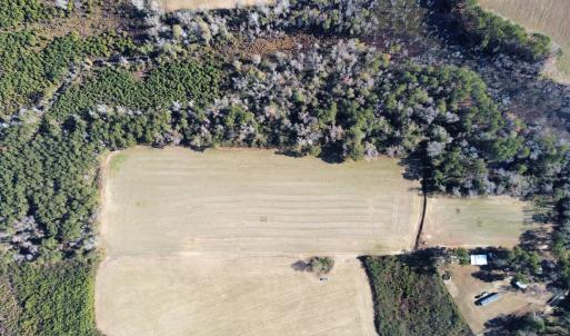 Photo #2 of Off of HWY 917, Nichols, SC 20.9 acres
