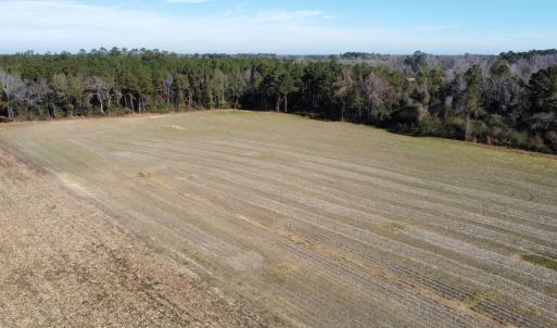 Photo #21 of Off of HWY 917, Nichols, SC 20.9 acres