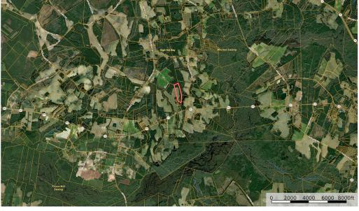 Photo #22 of Off of HWY 917, Nichols, SC 20.9 acres