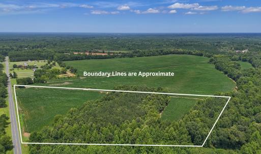 Photo #3 of 15 ac Off Titan Roberts Rd, Erwin, NC 15.0 acres