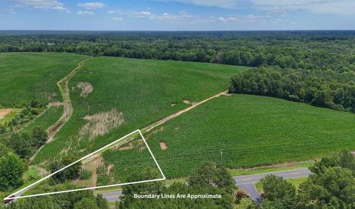 Photo #3 of 1.45 ac Off Titan Roberts Rd, Erwin, NC 1.5 acres