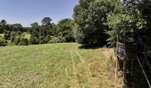 Photo #22 of 8341 Riley Hill Road, Zebulon, NC 35.6 acres