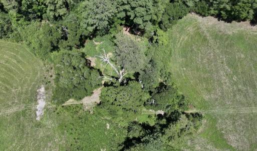 Photo #23 of 8341 Riley Hill Road, Zebulon, NC 35.6 acres