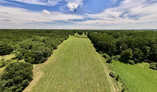 Photo #24 of 8341 Riley Hill Road, Zebulon, NC 35.6 acres