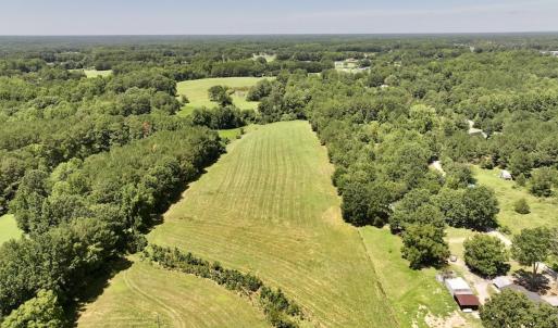 Photo #3 of 8341 Riley Hill Road, Zebulon, NC 35.6 acres