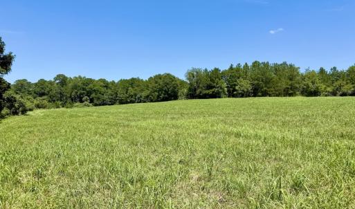 Photo #30 of 8341 Riley Hill Road, Zebulon, NC 35.6 acres