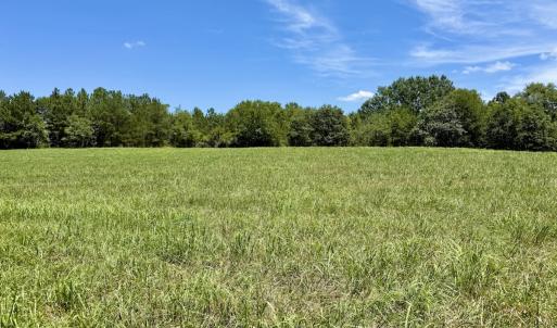 Photo #31 of 8341 Riley Hill Road, Zebulon, NC 35.6 acres
