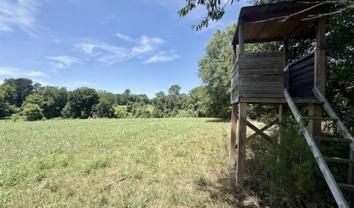 Photo #32 of 8341 Riley Hill Road, Zebulon, NC 35.6 acres