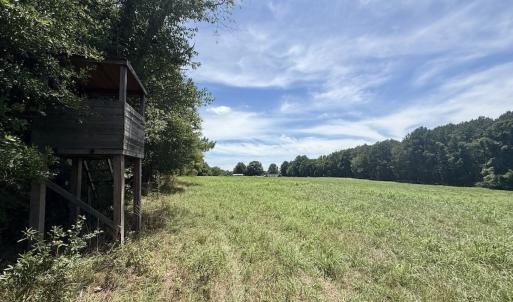Photo #33 of 8341 Riley Hill Road, Zebulon, NC 35.6 acres