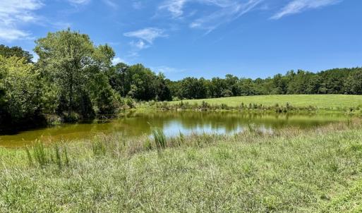 Photo #34 of 8341 Riley Hill Road, Zebulon, NC 35.6 acres