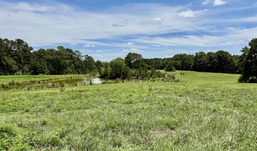 Photo #36 of 8341 Riley Hill Road, Zebulon, NC 35.6 acres