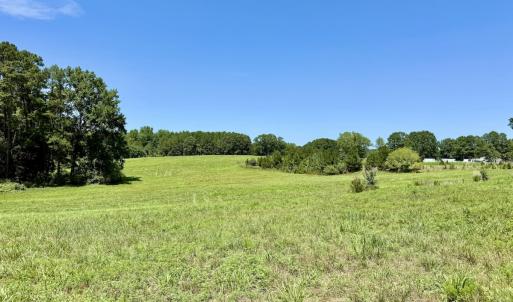 Photo #37 of 8341 Riley Hill Road, Zebulon, NC 35.6 acres
