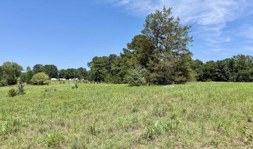 Photo #38 of 8341 Riley Hill Road, Zebulon, NC 35.6 acres