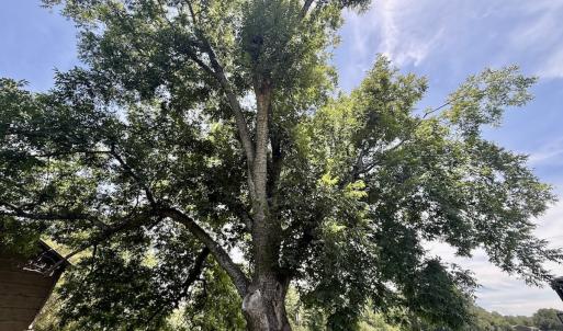 Photo #45 of 8341 Riley Hill Road, Zebulon, NC 35.6 acres