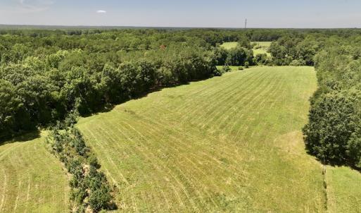 Photo #5 of 8341 Riley Hill Road, Zebulon, NC 35.6 acres