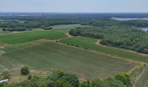 Photo #11 of 0f off NC 46 Hwy, Gaston, NC 10.0 acres
