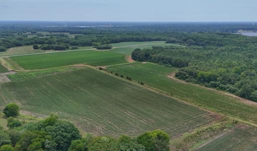 Photo #12 of 0f off NC 46 Hwy, Gaston, NC 10.0 acres