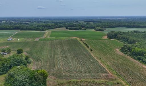 Photo #13 of 0f off NC 46 Hwy, Gaston, NC 10.0 acres
