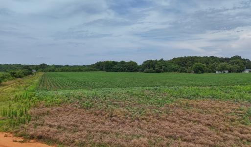 Photo #28 of 0f off NC 46 Hwy, Gaston, NC 10.0 acres