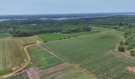 Photo #3 of 0f off NC 46 Hwy, Gaston, NC 10.0 acres