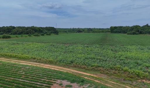 Photo #31 of 0f off NC 46 Hwy, Gaston, NC 10.0 acres