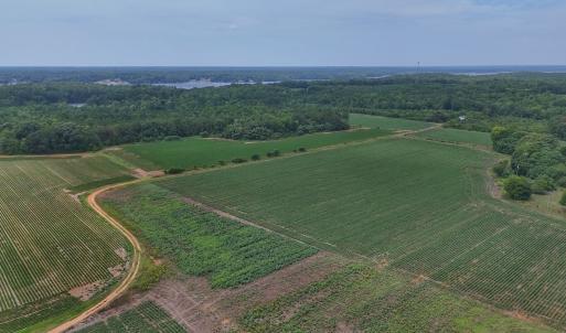 Photo #32 of 0f off NC 46 Hwy, Gaston, NC 10.0 acres