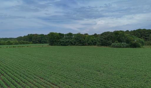 Photo #33 of 0f off NC 46 Hwy, Gaston, NC 10.0 acres