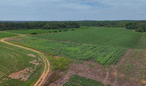 Photo #34 of 0f off NC 46 Hwy, Gaston, NC 10.0 acres