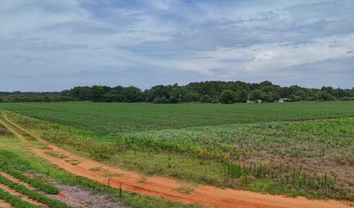 Photo #8 of 0f off NC 46 Hwy, Gaston, NC 10.0 acres