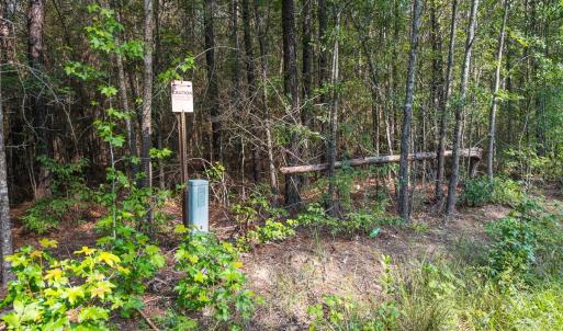 Photo #7 of Off of Cassam Road, Bahama, NC 10.1 acres