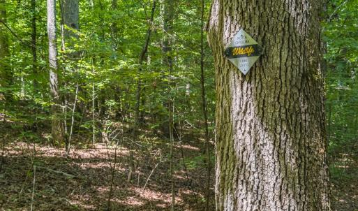 Photo #8 of Off of Cassam Road, Bahama, NC 10.1 acres