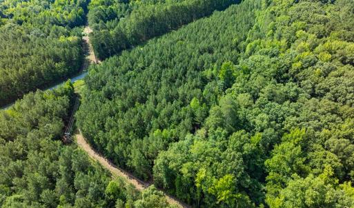 Photo #10 of Off of Cassam Road, Bahama, NC 10.1 acres