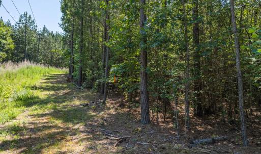 Photo #16 of Off of Cassam Road, Bahama, NC 10.1 acres
