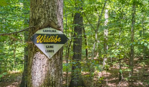 Photo #20 of Off of Cassam Road, Bahama, NC 10.1 acres