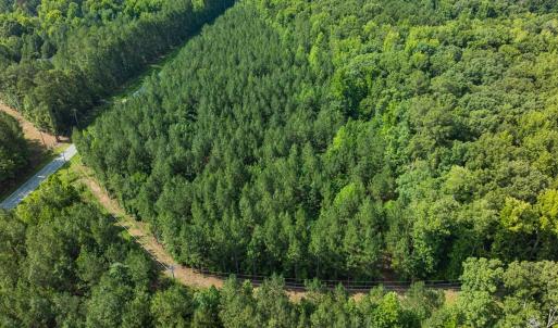 Photo #34 of Off of Cassam Road, Bahama, NC 10.1 acres