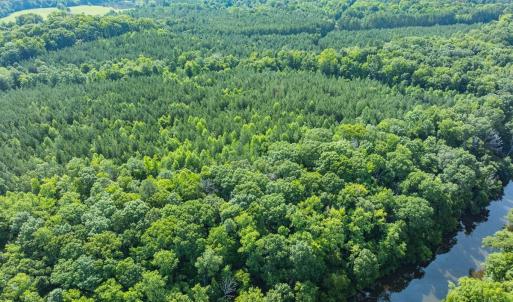 Photo #13 of Off of Cassam Road, Bahama, NC 21.7 acres