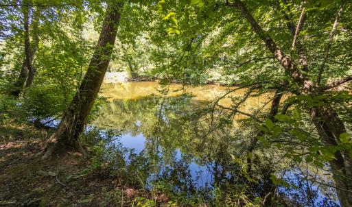 Photo #23 of Off of Cassam Road, Bahama, NC 21.7 acres