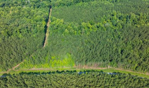 Photo #27 of Off of Cassam Road, Bahama, NC 21.7 acres